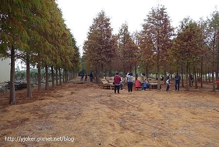 nantou_wood_003