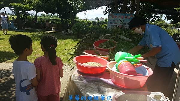 20170610_101619.jpg