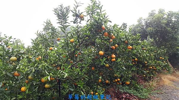 20171111_145808.jpg