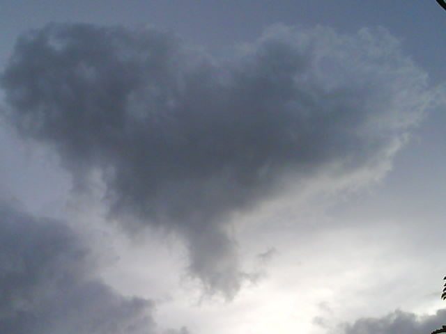 DSC03927.JPG