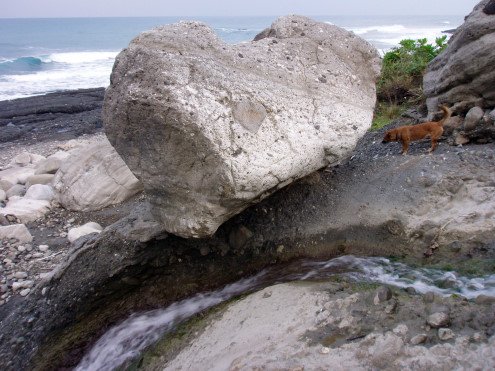 love rock.JPG
