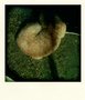 photo (3).jpg