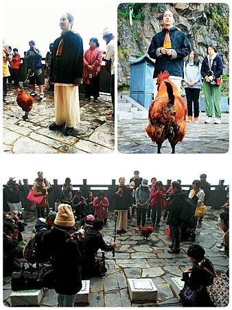 師父上人來到華首門開示、唱頌元和妙音。華首門的護法雞一路恭迎、頂禮，聆聽開示。傳說華首門是大迦葉尊者「守衣入定」之處──守著 釋迦牟尼佛的衣缽，等待 彌勒佛成佛之時傳授衣缽.jpg