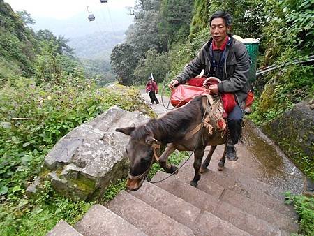 《雞足山禪行》雲南雞足山禪行學習報告 (19).jpg