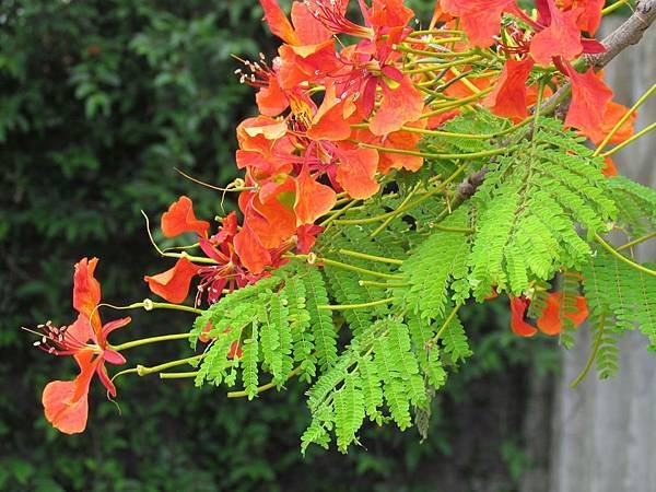 IMG_5166.JPG