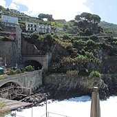 IMG_6973.JPG