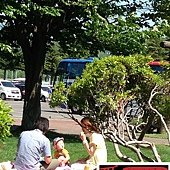 IMG_3266