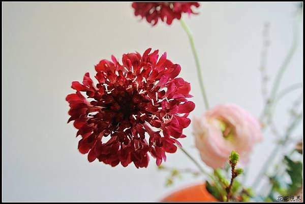 DSC_7794a