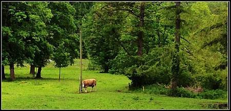 IMG_5842a