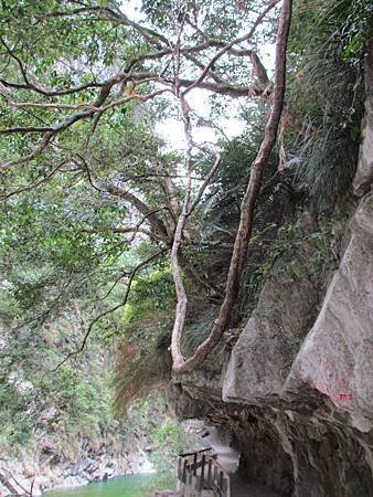 IMG_3515.JPG