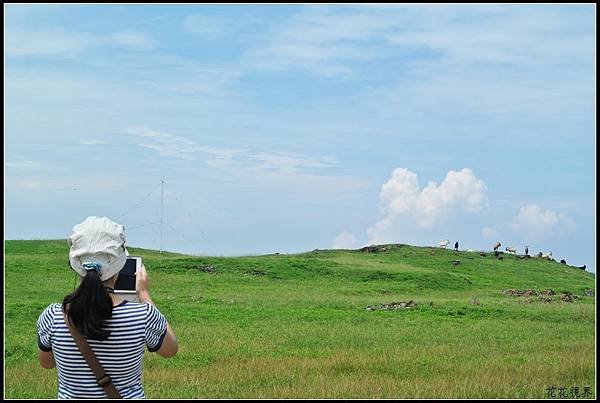 DSC_7631a