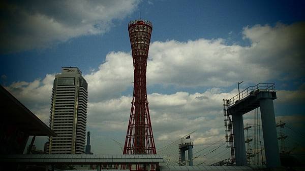 P4235985.JPG