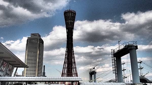 P4235989.JPG