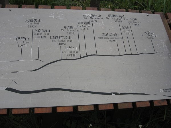 2006 要知道誰是誰, 必須非常有悟性