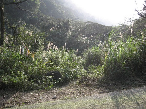 不起眼的登山口