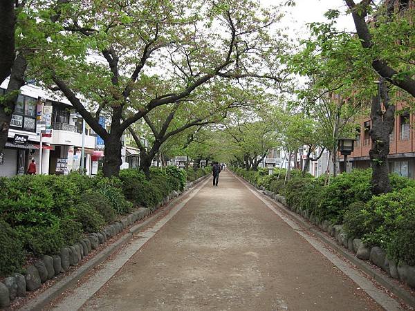 鎌倉: 鶴岡八幡宮 &amp; 滿福寺