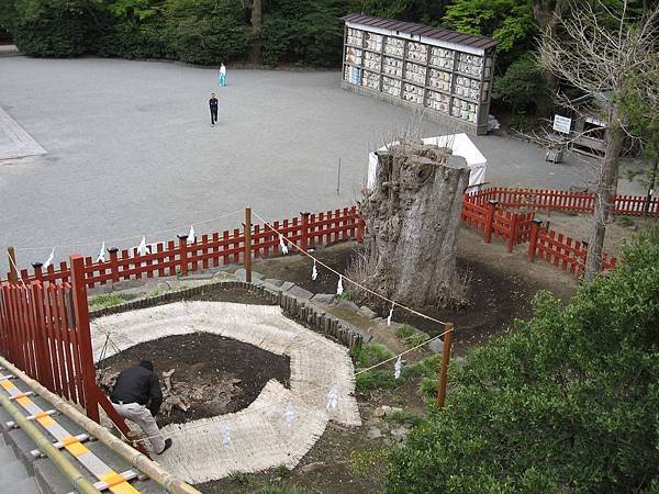 鎌倉: 鶴岡八幡宮 &amp; 滿福寺