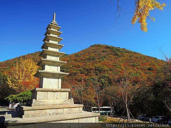 梵魚寺七層石塔