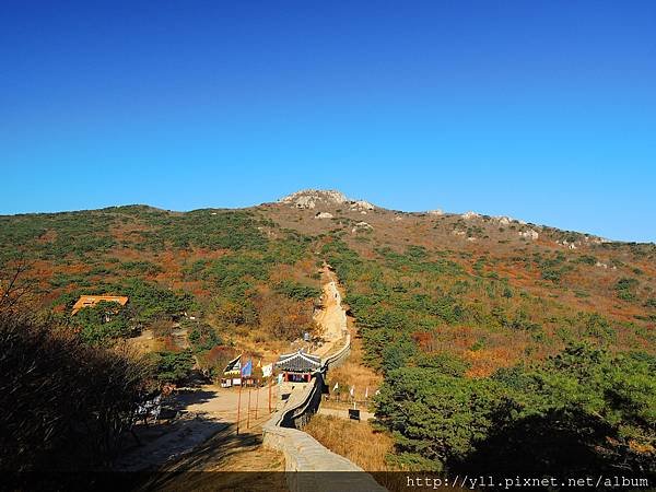 今井山城