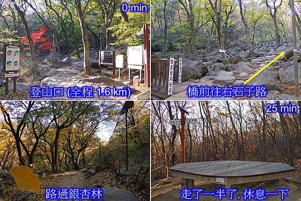 金井山城北門登山路徑