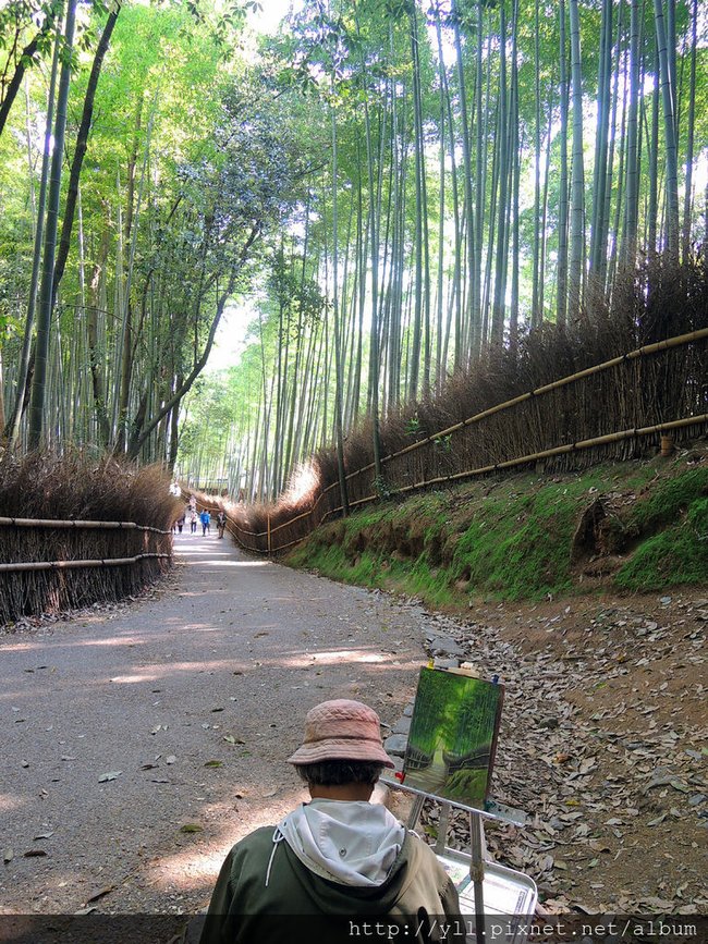 嵯峨野竹林