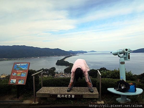 天橋立 股見