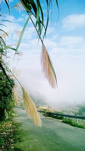 PIC000121