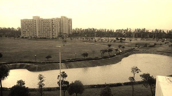 PIC000103