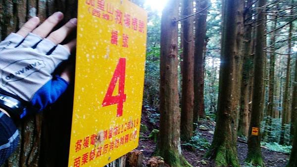 PIC000187