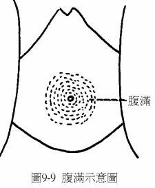 胃5.gif