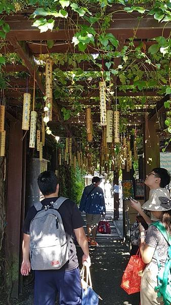 20180807_150532.jpg