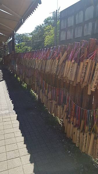 20180807_151715.jpg