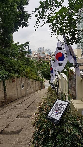 20190718_120758.jpg