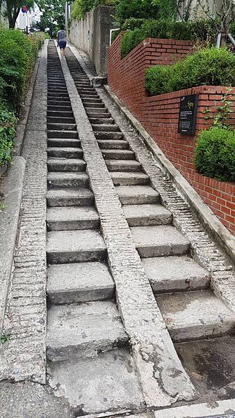 20190718_120557.jpg