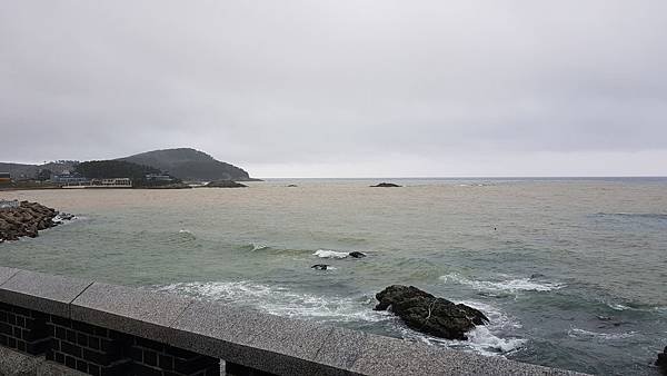 20190719_105741.jpg