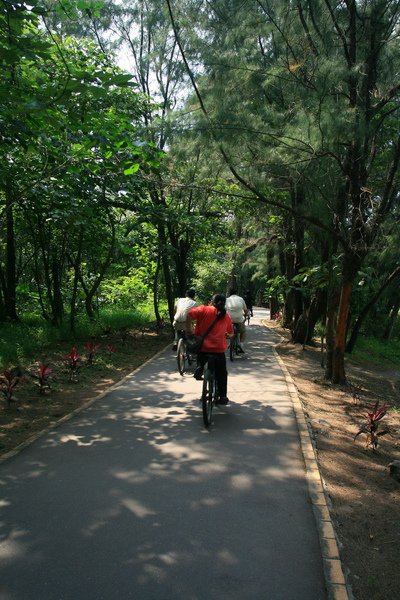 台東琵琶湖