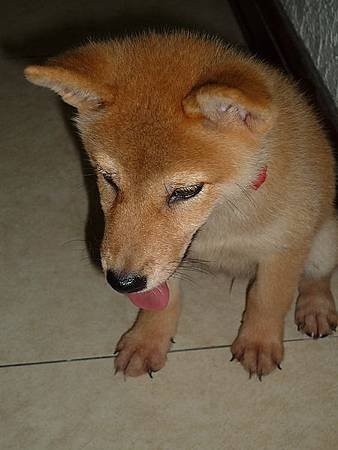 2010.8.8-2.jpg