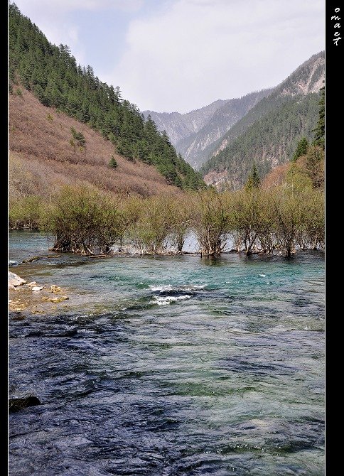 DSC_0516.jpg