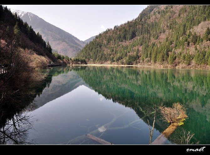 DSC_0286.jpg