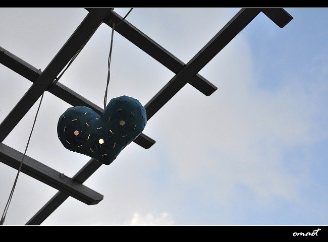 DSC_0007.jpg