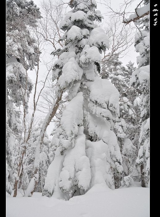 DSC_0366_279