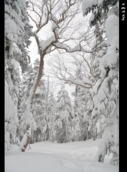 DSC_0373_275