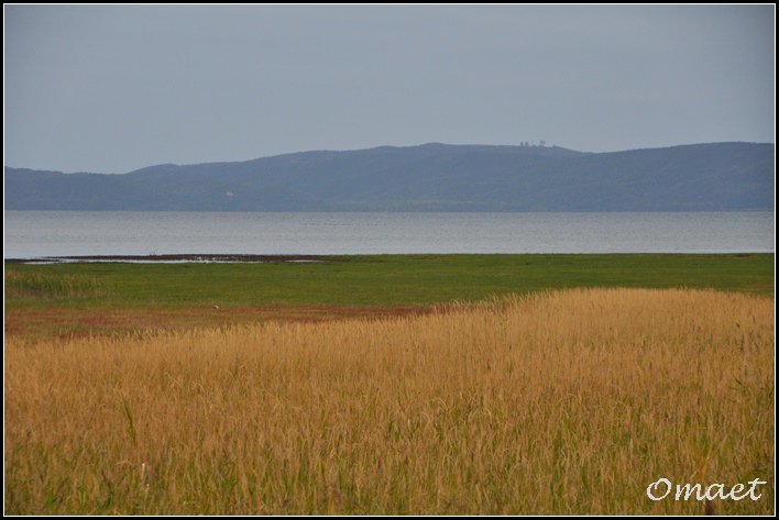 DSC_0727.jpg