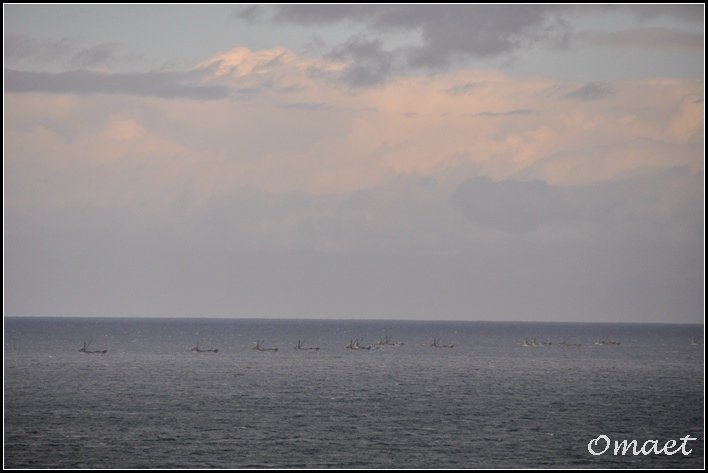 DSC_0827.jpg