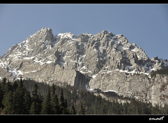 DSC_0604.jpg