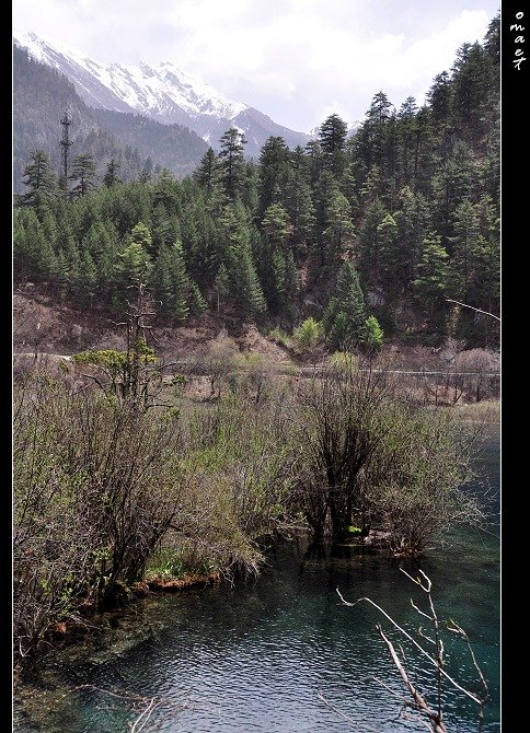 DSC_0449.jpg