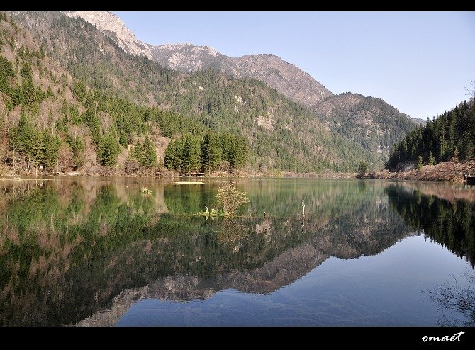 DSC_0266.jpg