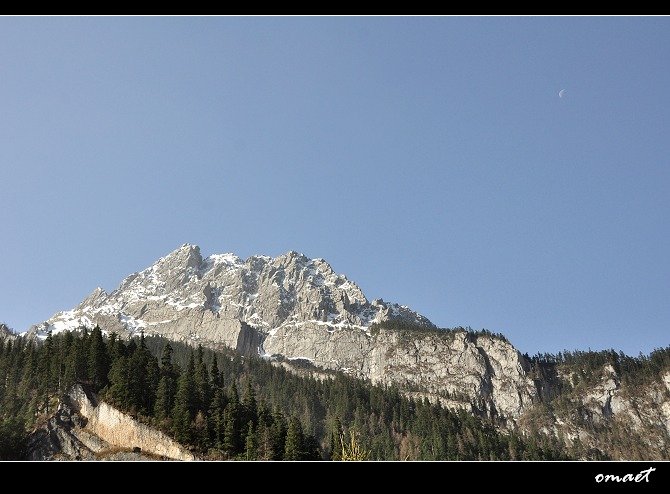 DSC_0605.jpg