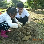 土窯建造中