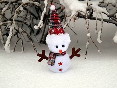 snowman-1145323_1280.jpg